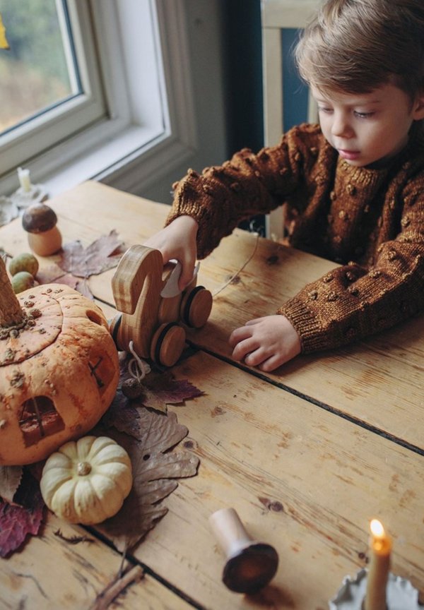 ZIEHTIER SCHWAN – Holzspielzeug