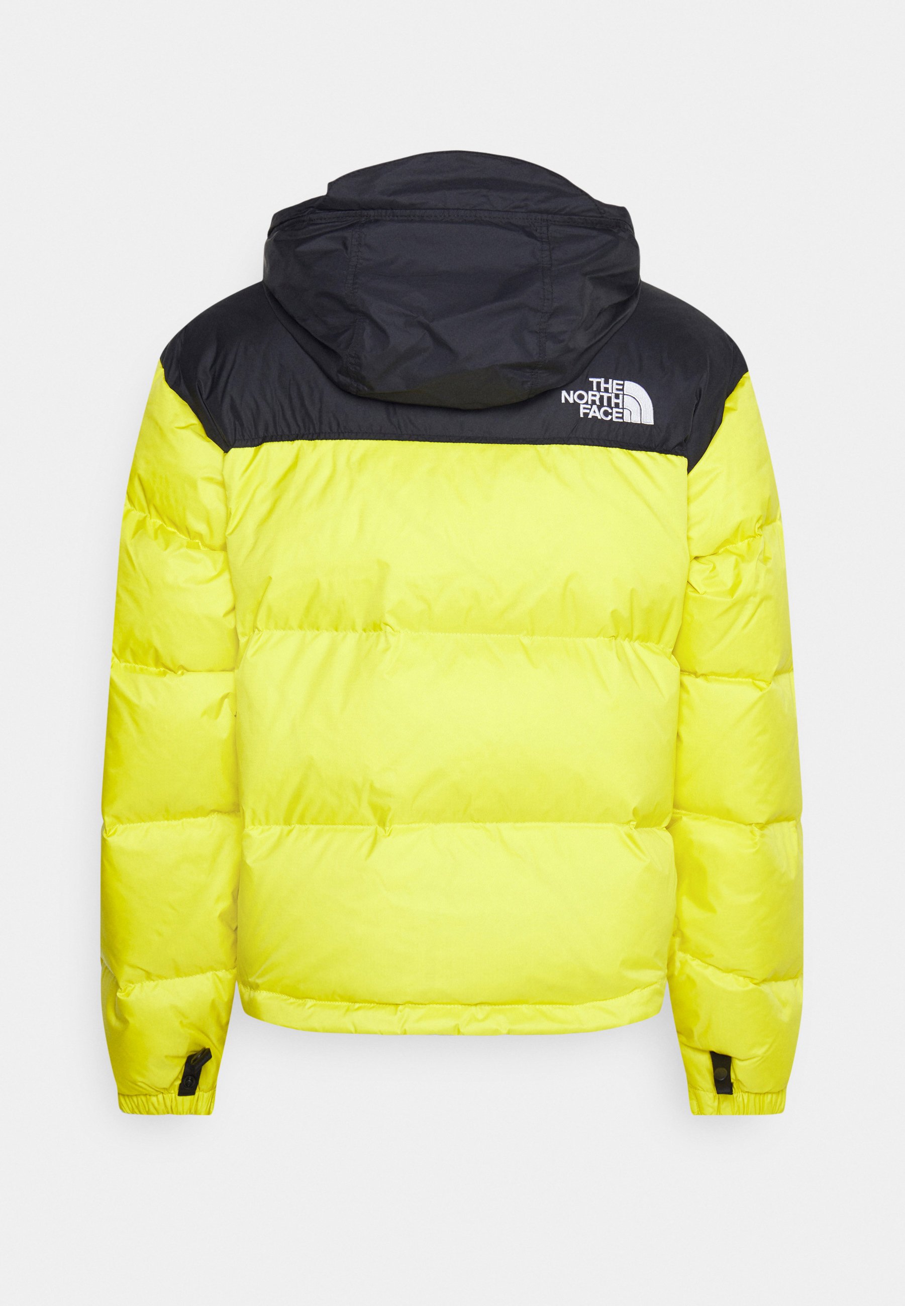 novelty nuptse jacket