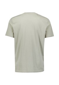Lichtgrijze katoen t-shirt, korte mouwen, ronde hals, zachte textuur, geen graphics of patronen, normale pasvorm, eenvoudig ontwerp.