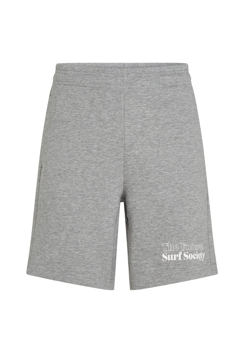O'Neill THE FUTURE SOCIETY JOGGERS Sports shorts silver melee - Main Image