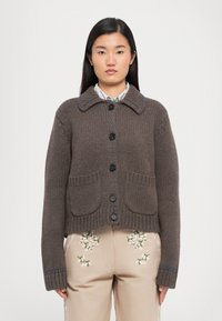 Cardigan lavorato a maglia marrone con scollo a collare, bottoni frontali e due tasche anteriori. Presenta cuciture di accento blu e polsini a costine.