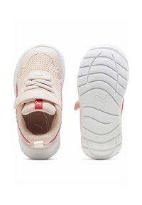 Puma EVOLVE - Babacipők - island pink white tart cherry
