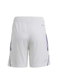 Witte sportieve shorts met een verstelbare tailleband, paarse zijaccenten en een lichte, gladde textuur.