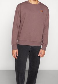 Brun långärmad sweatshirt med rund halsringning och ribbade muddar. Har en liten broderad logga på bröstet. Kombinerad med mörka jeans.