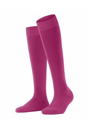 FALKE CLIMA - Kniekousen - berry