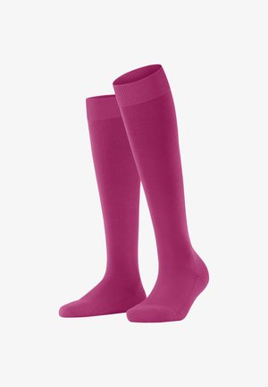 FALKE CLIMA - Kniestrümpfe - berry