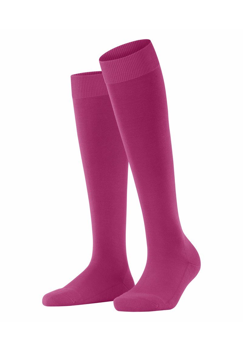 FALKE CLIMA - Calzettoni - berry