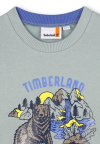 Sweatshirt verde claro com um colarinho azul de canelado, apresentando uma ilustração de um urso e uma cena de paisagem com montanhas, água e árvores.