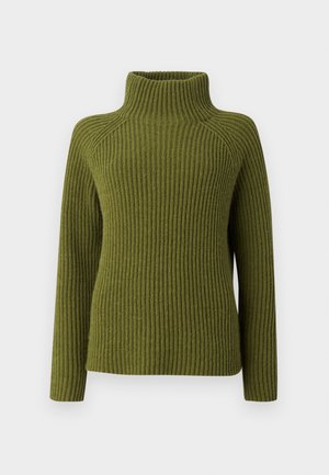 DRYKORN ARWEN - Strickpullover - green