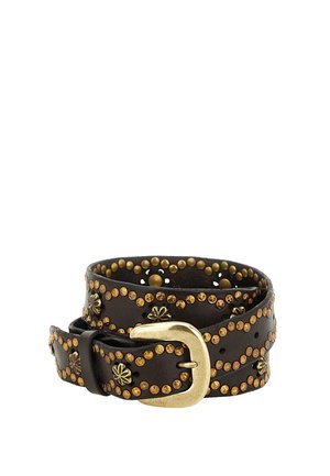 Cintura in pelle marrone scuro con borchie e fibbia in ottone arrotolata su sfondo bianco.