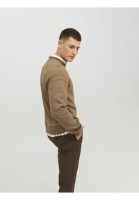 Jack & Jones JJESTAR CREW NECK - Sweatshirt - otter