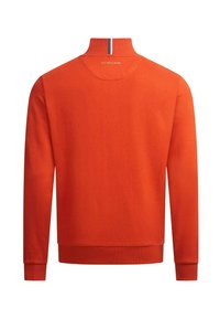 Oranges Sweatshirt mit hohem Kragen, blau-weißen Streifen, langen Ärmeln und weichem Stoff. Schlichte Rückendesign.