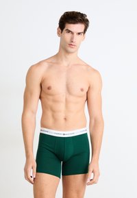 Grüne Baumwoll-Boxershorts mit einem weißen Elastikbund, der das "Tommy Hilfiger"-Logo in Rot und Blau trägt. Schlichte Gestaltung, enganliegende Passform.