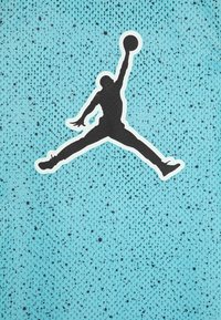 Czarna sylwetka skaczącej postaci trzymającej koszykową piłkę, na teksturowanym akwamarynowym tle z małymi czarnymi kropkami. Wyraźny wzór logo Jumpman.