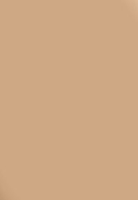Beige matte Oberfläche, glatte Textur, rechteckige Form, keine Muster oder Akzente. Einfaches Design, das für verschiedene Kontexte geeignet ist.