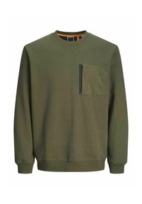 Ej vald, forest night