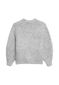 Lichtgrijze gebreide trui met lange mouwen, geribde kraag, manchetten en onderrand, weergegeven van de achterkant op een witte achtergrond.