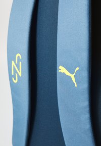 Twee blauwe stoffen bandjes zijn tentoongesteld, één met een gestileerde gele 'N' logo en de andere met een geel Puma logo.