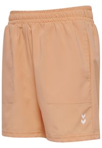 Pfirsichfarbene Sportshorts mit einem elastischen Bund, zwei Seitentaschen und einem weißen Chevron-Logo-Detail am Saum. Weiche, glatte Textur.