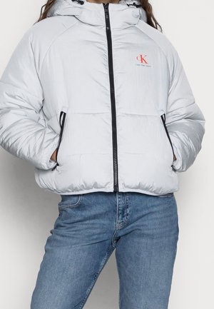 Chaqueta de invierno - light grey