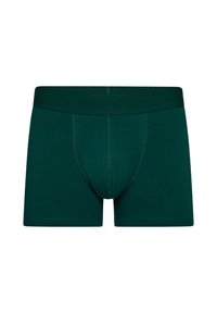 Grønne boxershorts lavet af blødt stof, med en logoelastik, syede detaljer og en tætsiddende design.