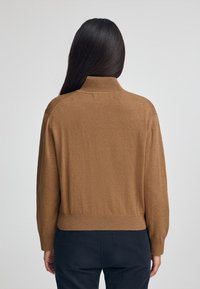 Brauner Strickpullover mit hohem Kragen, gerippten Bündchen und Saum. Weiche Textur, lockere Passform und sichtbare Schulternaht. Rückansicht dargestellt.