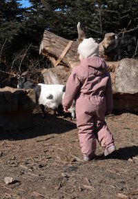 Lapsi vaaleanpunaisessa toppahaalarissa, huppu päässä, selin, seisoo mullalla. Lähellä mustavalkoinen vuohi. Taustalla on halkoja ja mäntyjä.