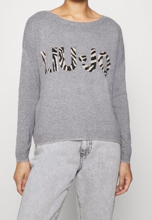 Pull en maille gris avec "LIU JO" en lettres à rayures zébrées, porté avec un jean gris clair sur une personne debout.