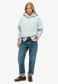 Haut de hoodie zippé bleu clair avec capuche à cordon, poches avant, associé à un jean bleu ample et des chaussures brunes. Détail brodé subtil.