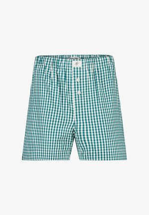 America Today LOGAN - Pyjamahousut/-shortsit - green