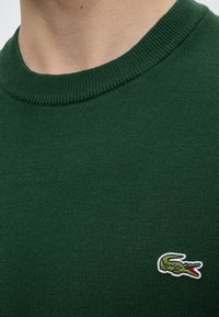 Gros plan d'un pull vert tricoté avec un col rond côtelé et un petit logo crocodile vert brodé sur la poitrine.