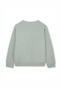 Light green sweatshirt with a ribbed texture, round neck, and long sleeves. Features ribbed cuffs and hem without any visible logos or patterns.