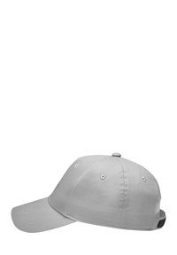 Dropsize HD LOGO - Cap - grey