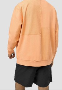 Sudadera de melocotón claro con un ajuste relajado, cuello redondo y tejido texturizado, combinada con pantalones cortos negros. Detalles de costura visibles en la parte trasera.