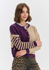 Pletený cardigan v fialové a béžové barvě, s knoflíkovou přední stranou, pruhovanými rukávy a uvolněným střihem. Kombinován s kalhotami s leopardím potiskem.