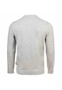 Maglione lavorato a maglia grigio chiaro con scollatura a girocollo, maniche lunghe e orlo a coste. Il materiale appare morbido con una texture liscia.