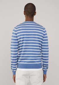 Maglione a righe blu chiaro e bianco realizzato in materiale morbido, con collo a girocollo e polsini e orlo a costine.