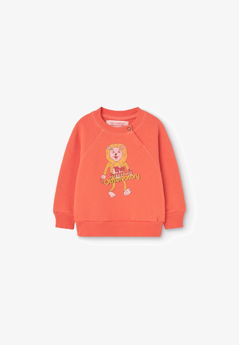 Coral sweatshirt with long sleeves, featuring a lion graphic and "The Animals Observatory" text. Soft cotton material, ribbed cuffs and hem.