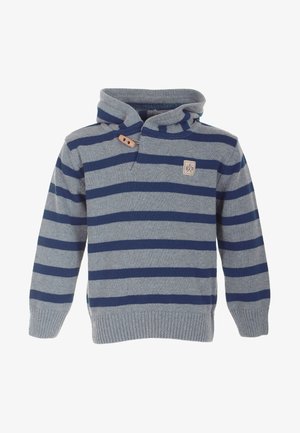 Jumper - navy/grey
