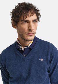 Marineblauer V-Ausschnitt-Pullover aus weichem Stoff, mit einem kleinen Logo auf der Brust. Darüber getragen ist ein Hemd mit Kragen und einem gemusterten Halstuch.
