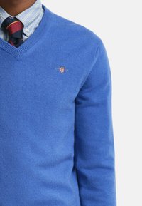 Blauer V-Ausschnitt-Pullover aus weichem Strickmaterial. Verfügt über ein kleines, besticktes Logo auf der Brust und ist über einem hellblau gestreiften Hemd getragen.
