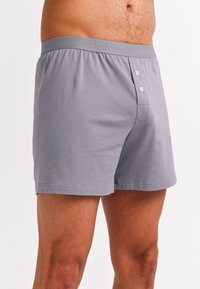 Grijze boxers van zacht materiaal, met een rekbare tailleband met reliëftekst, een knoopsluiting en een klassieke snit.