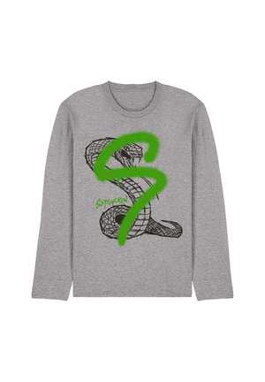 Gray long-sleeve shirt with black coiled snake graphic and large green spray-painted letter S, with small green text "Slytherin" below the snake.