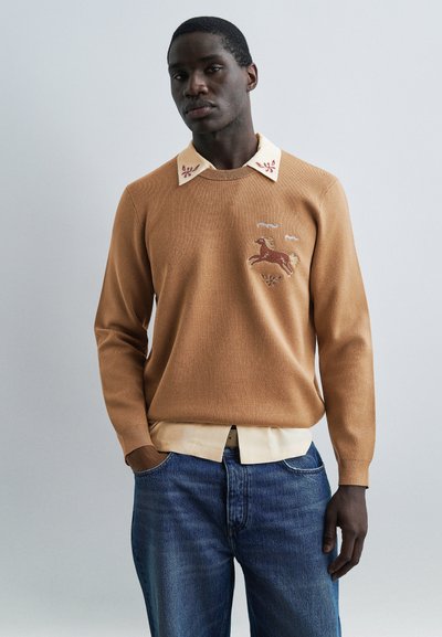 Homme portant un pull marron avec une broderie de cheval sur une chemise beige et un jean bleu, debout devant un fond clair uni.