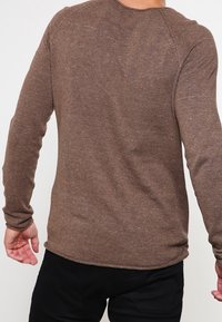 Brown long-sleeve shirt made of textured fabric with a round neck and raglan sleeves, featuring a curved hem and a relaxed fit.