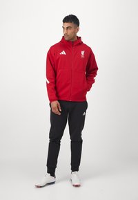 adidas Performance LIVERPOOL FC ADIDAS Z.N.E. ANTHEM JACKET - Tréning dzseki - strawberry red