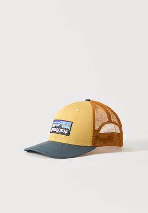 Gul og orange mesh Patagonia trucker kasket med blå buet skygge og bjerglogo på frontpanelet.