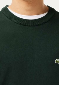 Dunkelgrüner Strickpullover mit Rundhalsausschnitt und weißem Innenkragen. Auffälliges, besticktes Logo auf der unteren rechten Seite.