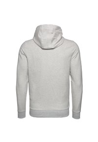Felpa grigia chiara con cappuccio, maniche lunghe e polsini a coste. Il materiale sembra morbido con una texture liscia e un design semplice.
