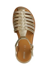 Gouden sandalen met bandjes en een gevlochten ontwerp, open teen en een enkelbandje. Gladde synthetische materialen en een gevoerde zool. Geox-merk zichtbaar.